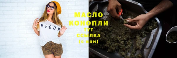 метадон Алексин
