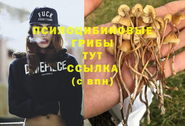 кокаин премиум Алзамай